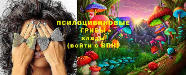 эйфоретик Вяземский