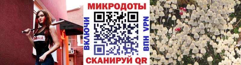 Псилоцибиновые грибы Magic Shrooms  omg   Заводоуковск 